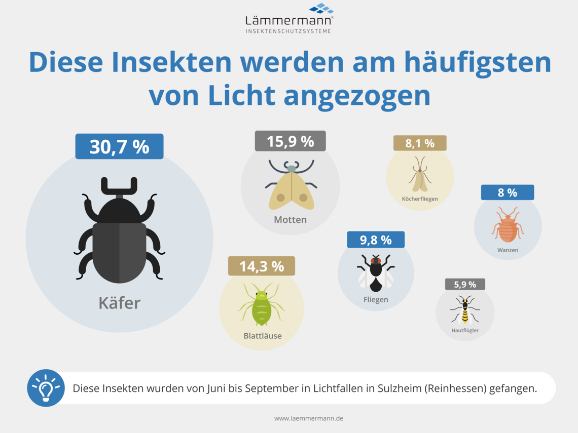 Insektenschutz